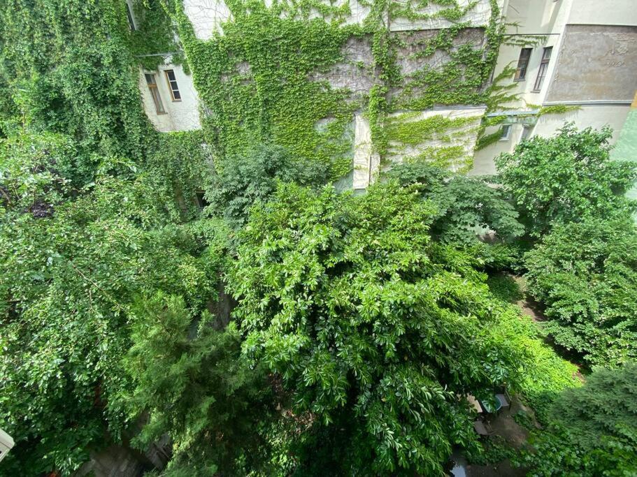 Raday Street, Spacious, Modern Apartment Budapest Exterior photo
